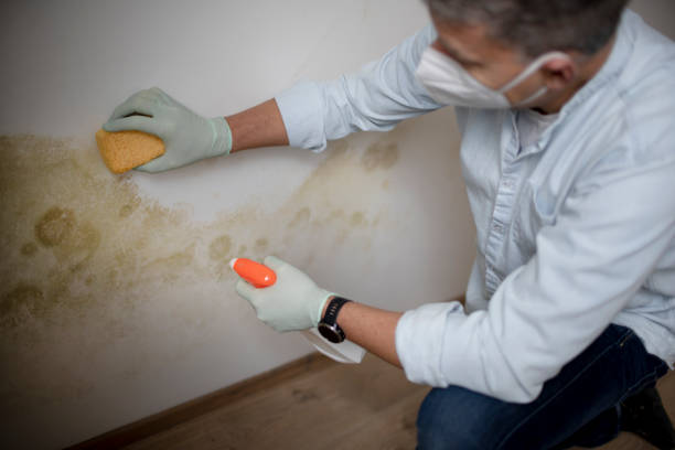 Water Damage Restoration in Post Falls, ID