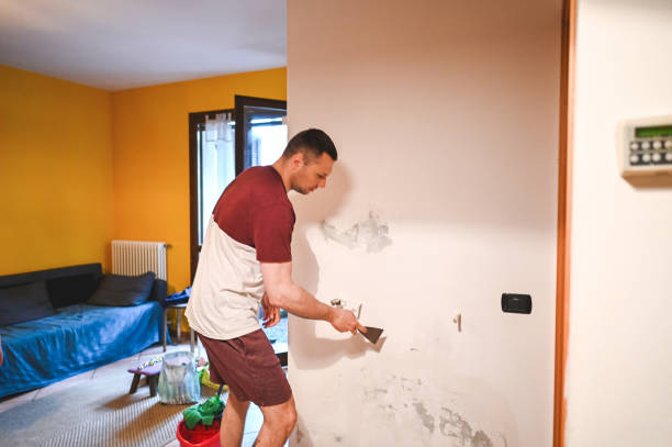 Best Black Mold Removal  in Post Falls, ID